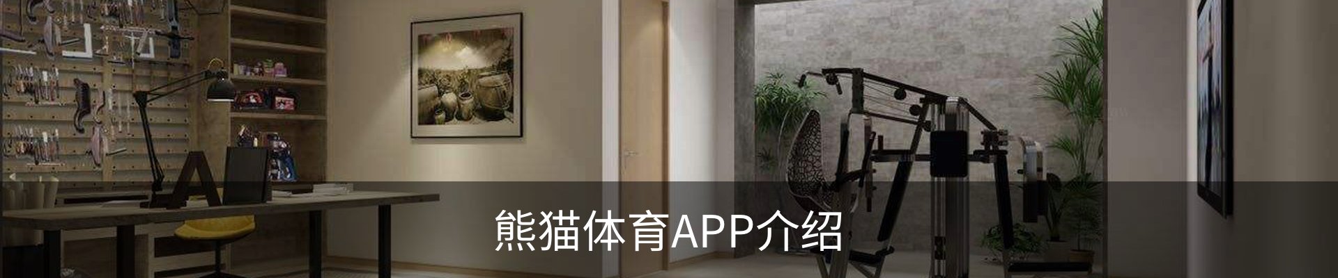 熊猫体育APP介绍
